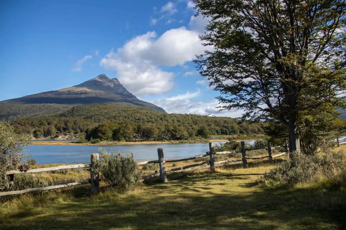 Excursión al Parque Nacional Tierra del Fuego